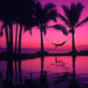 Meet your Posher, Daisy